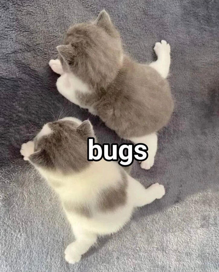 kitties